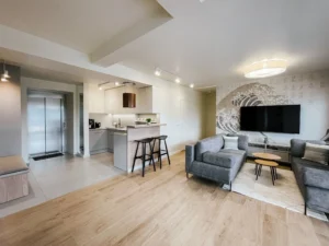 Kitchen and living room